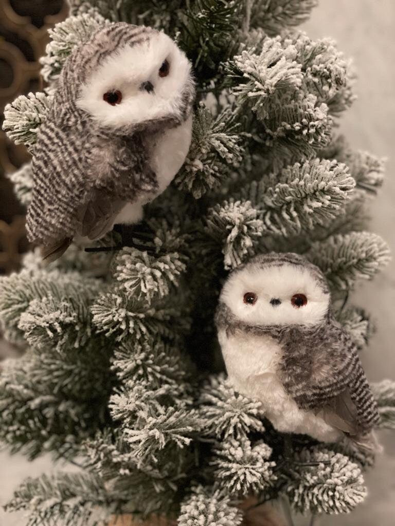 6" Owl. Set of 2.*