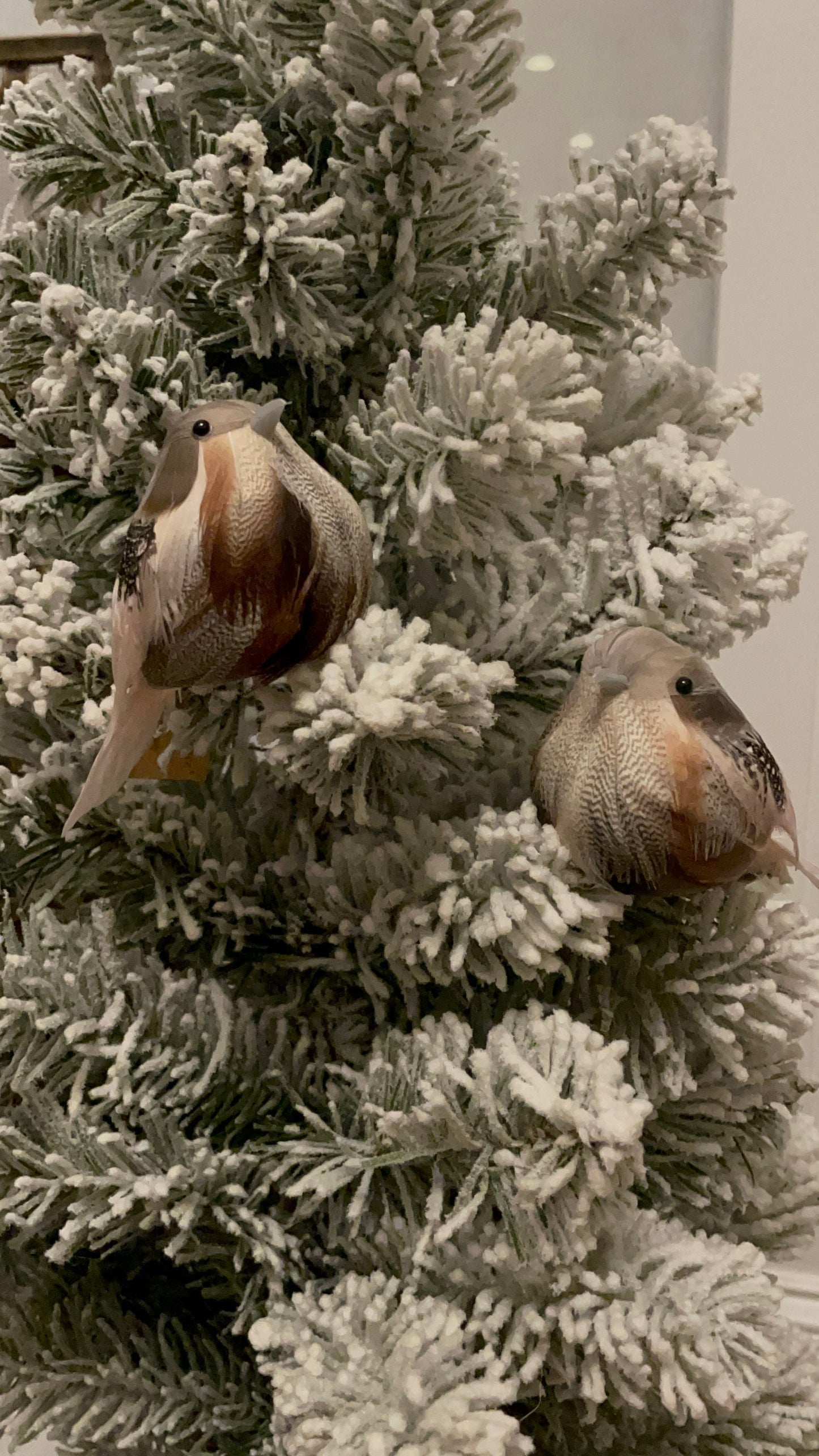 4” Pair of bird ornaments.