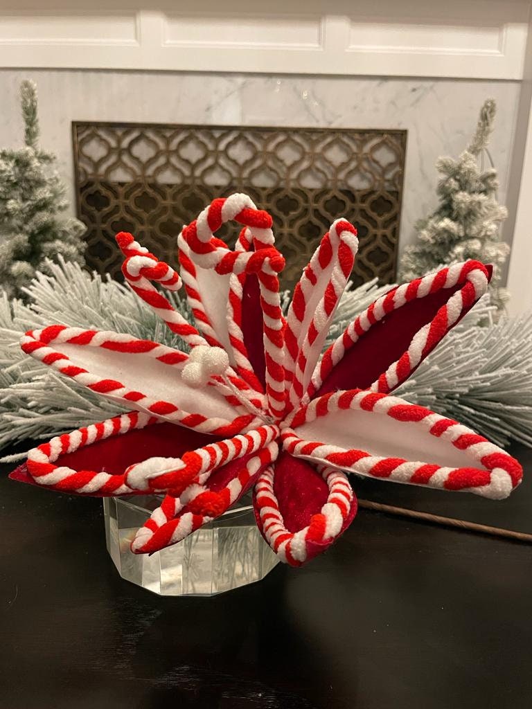 13"peppermint poinsettia stem