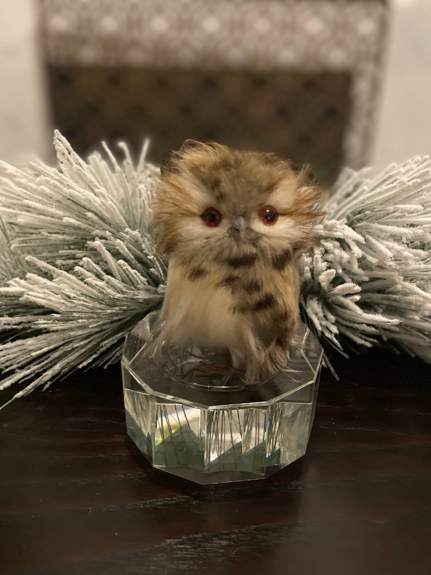 Set of 2. 5” Speckeld hoot owl ornament.