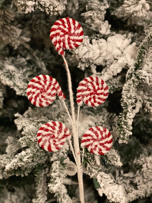 22" Cotton Candy Peppermint disk spray