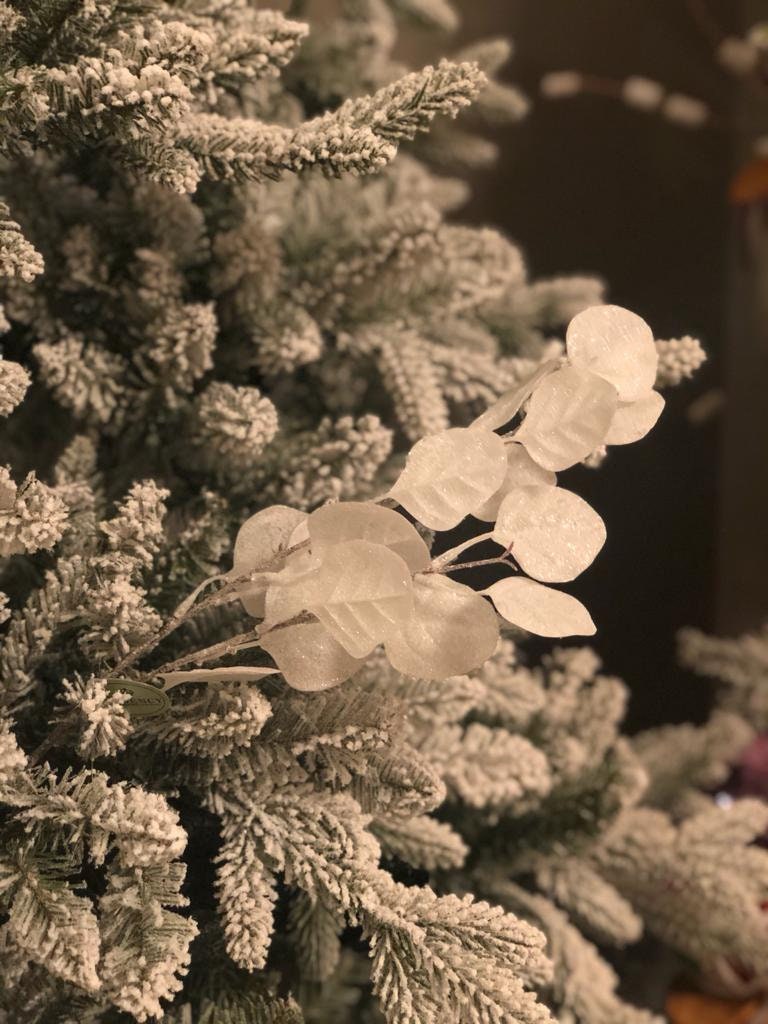 27" frost/clear silver dollar eucalyptus