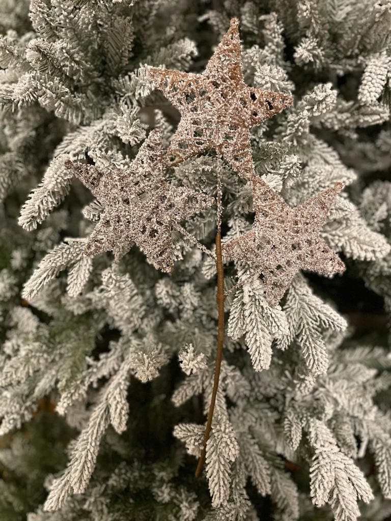 22"frosted triple twig star spray natural frost