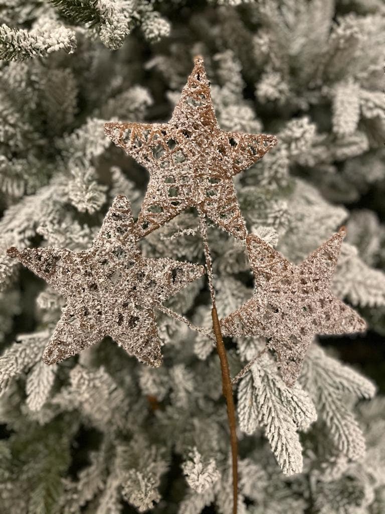 22"frosted triple twig star spray natural frost
