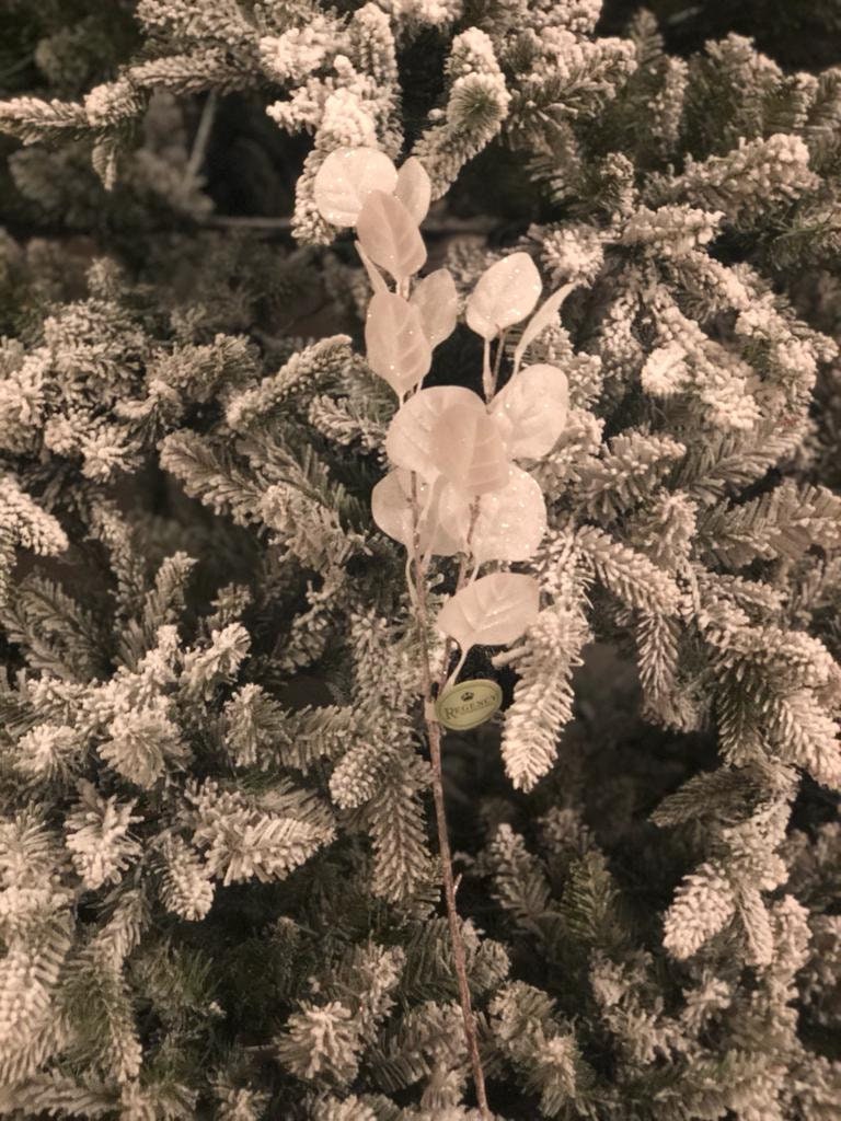 27" frost/clear silver dollar eucalyptus