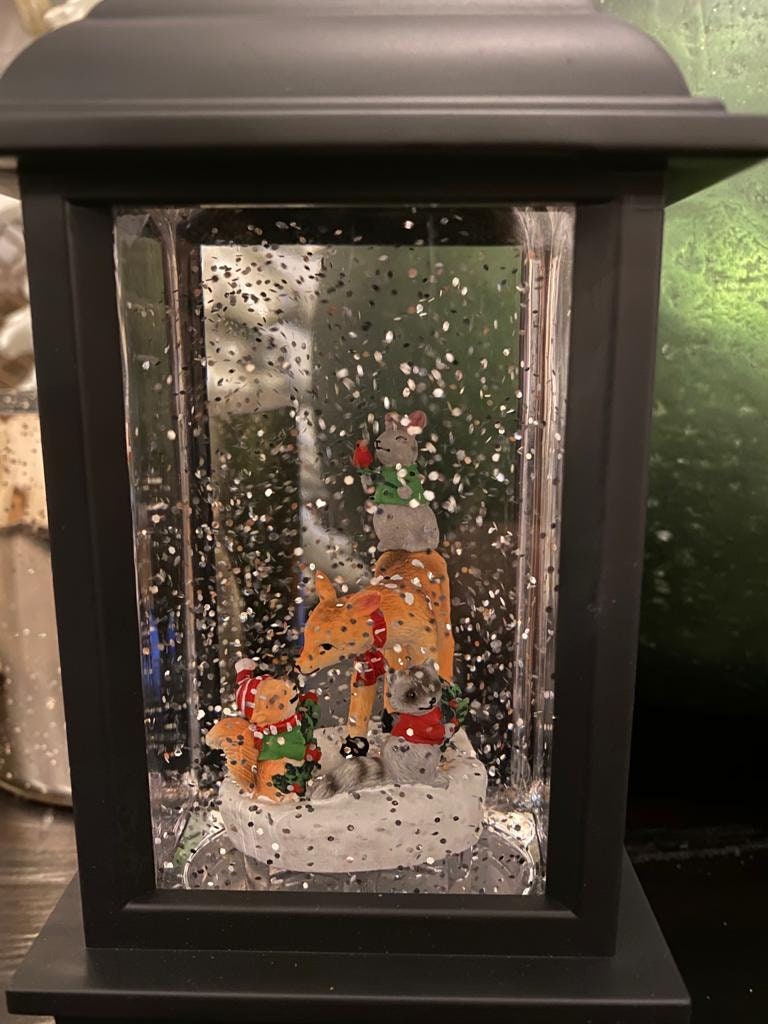9.5" forest friends lighted water lantern*