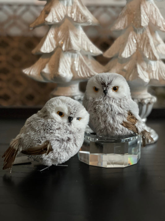 5” Owl. Set of 2.*