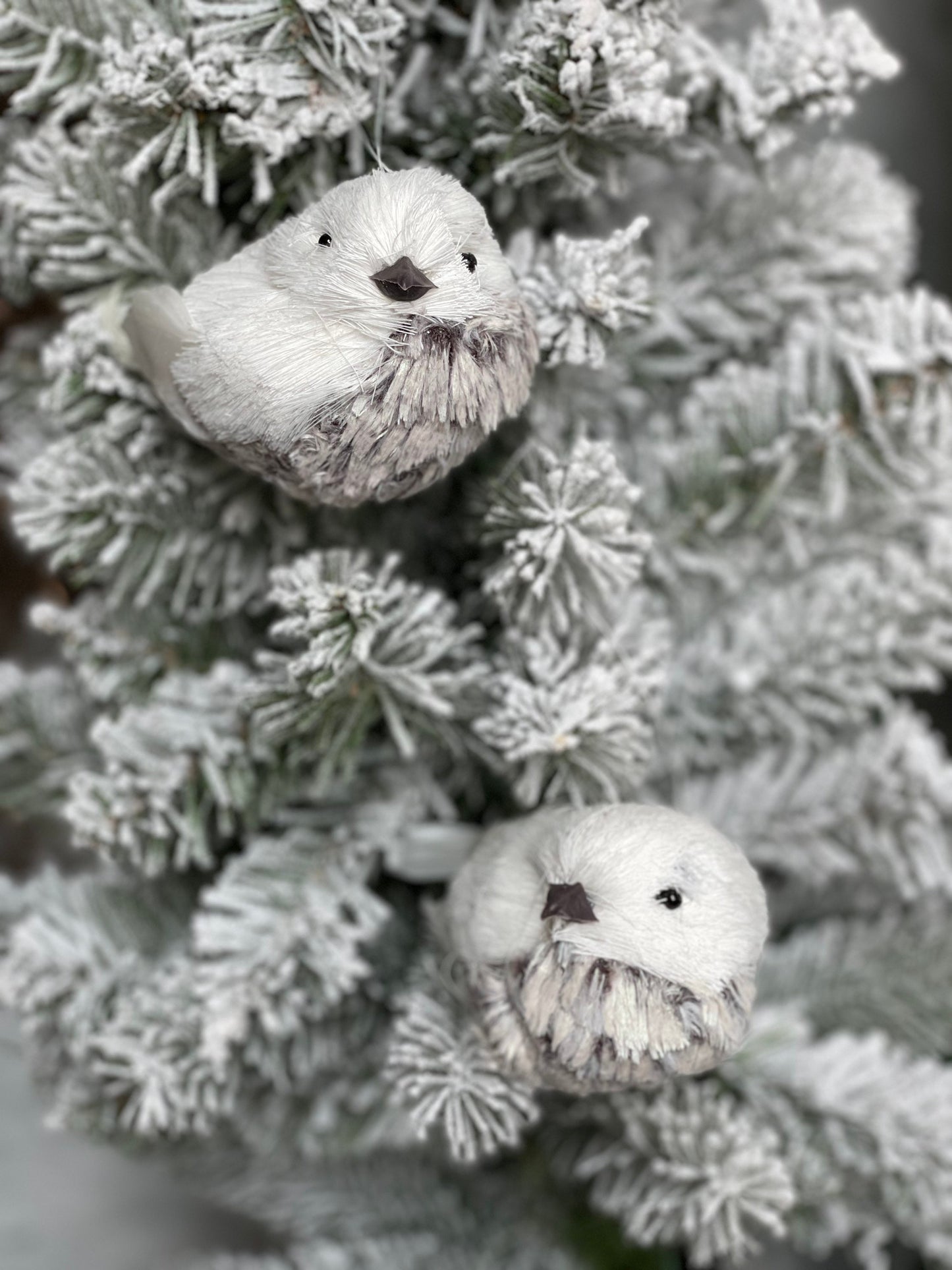 3.5”x6” frosted artic bird. Set of 2.