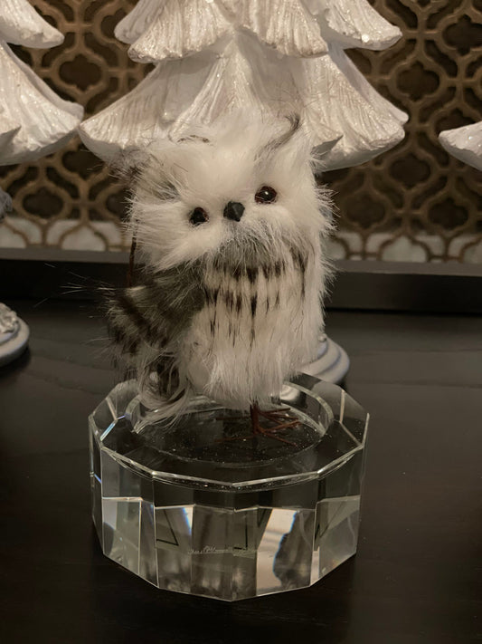 5.5” Guinness feather Owl ornament. Set of two.