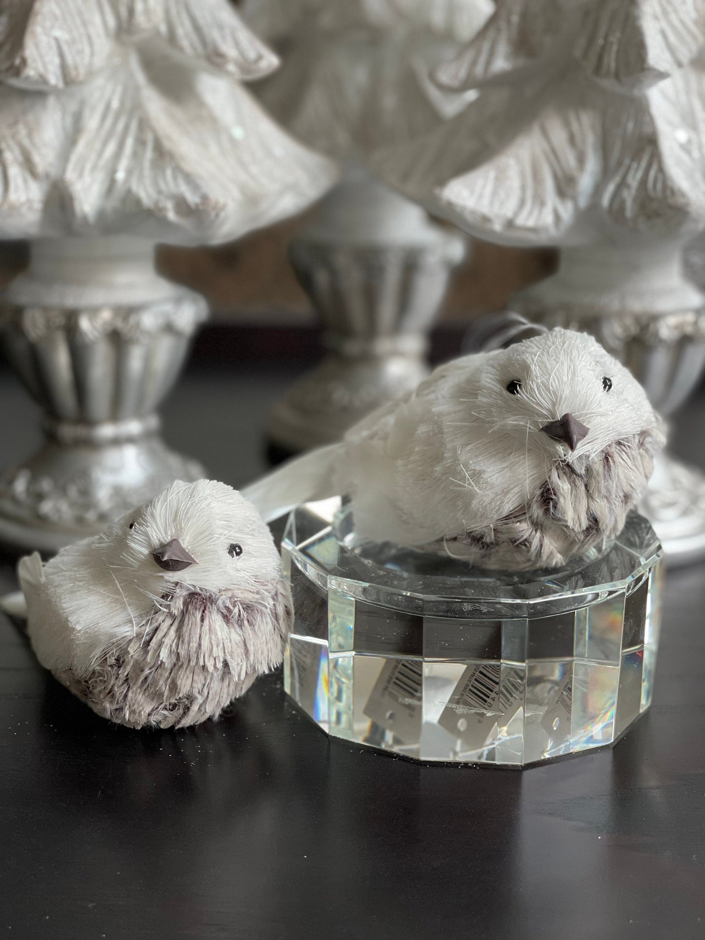 3.5”x6” frosted artic bird. Set of 2.