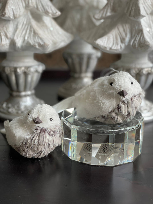 3.5”x6” frosted artic bird. Set of 2.