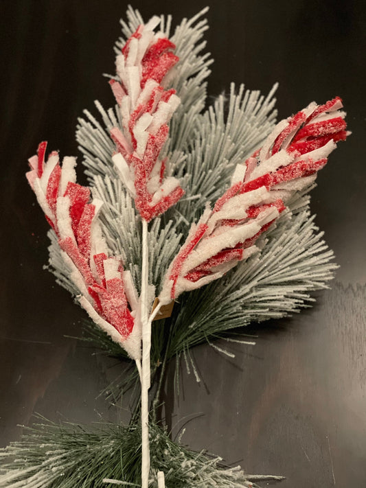 30" Frosted loop spray. Red and white.