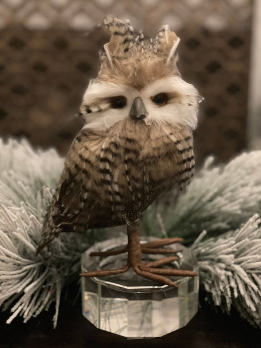 8.5” x 6” owl ornament. Beautiful.