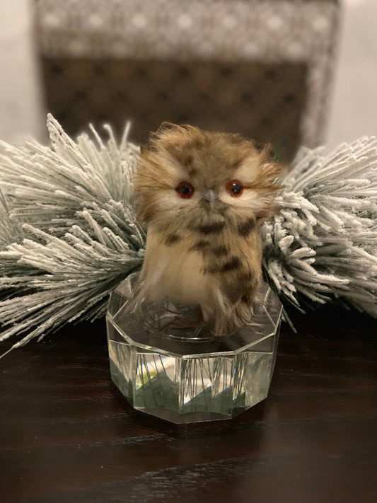 Set of 2. 5” Speckeld hoot owl ornament.
