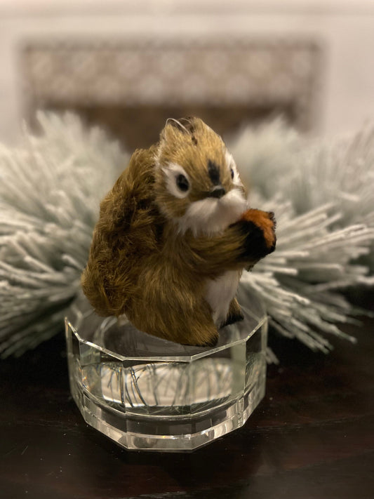 Set of 2. 4.5” furry squirrel ornament. Forest animal.